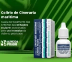 Almeida Prado com Cineraria Maritima - Imagem 3