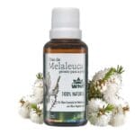 Aromagia Óleo de Melaleuca 30ml - Imagem 2